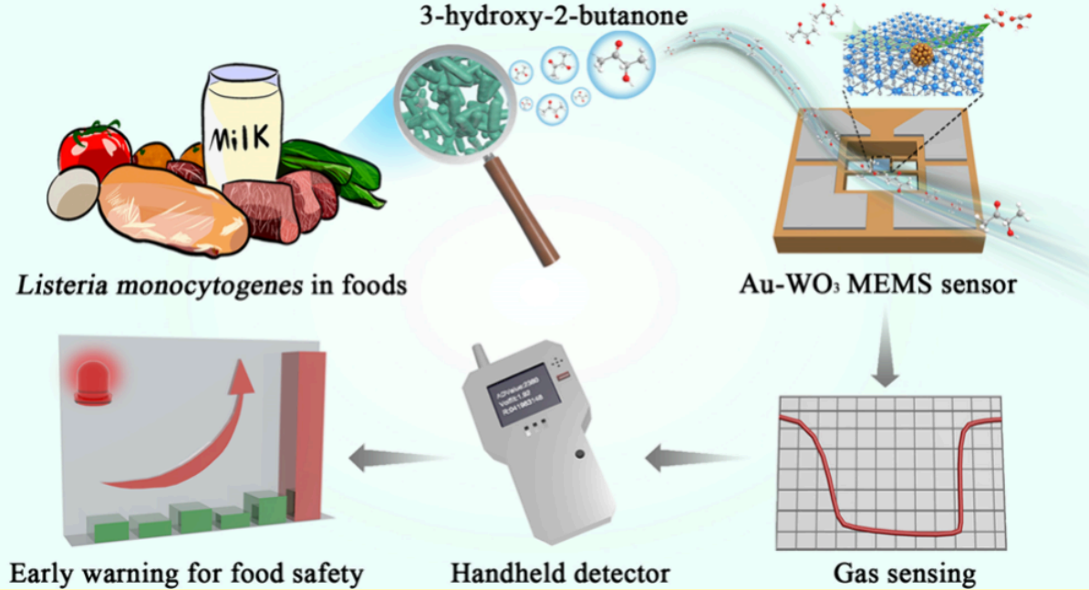 AI食安产品策略